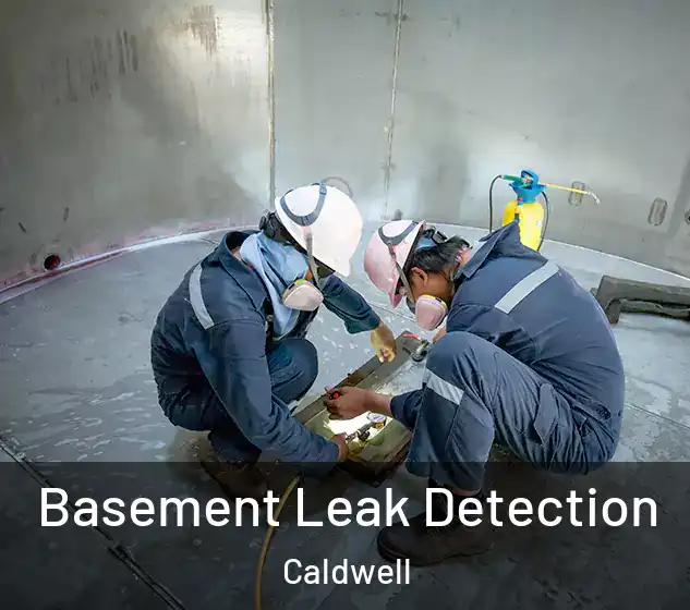  Basement Leak Detection Caldwell