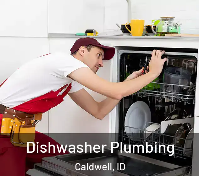  Dishwasher Plumbing Caldwell, ID