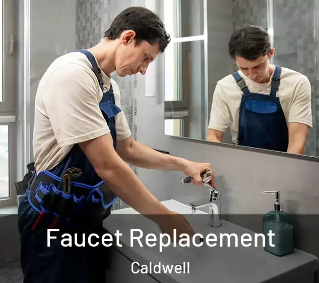  Faucet Replacement Caldwell