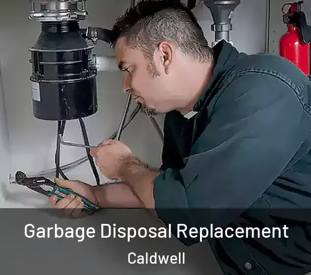  Garbage Disposal Replacement Caldwell