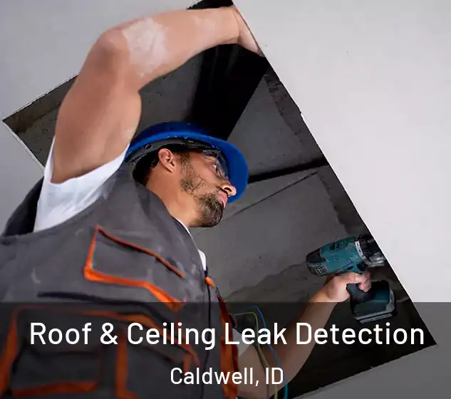  Roof & Ceiling Leak Detection Caldwell, ID