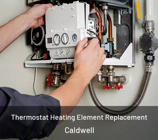  Thermostat Heating Element Replacement Caldwell
