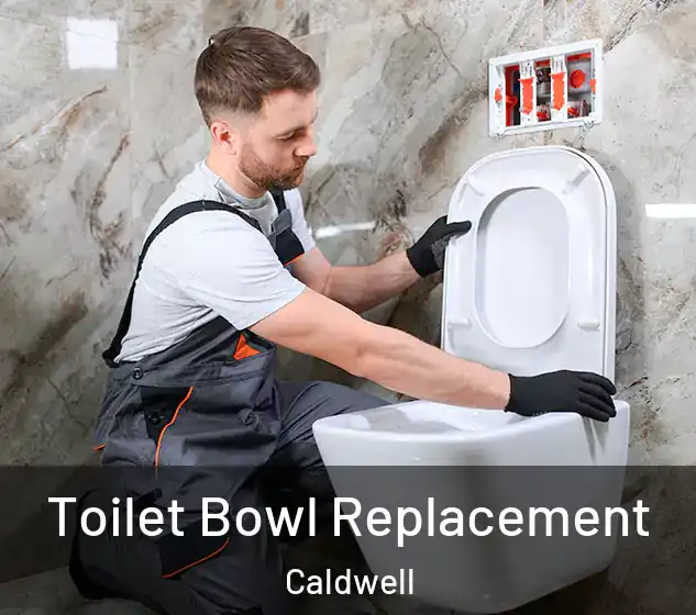  Toilet Bowl Replacement Caldwell