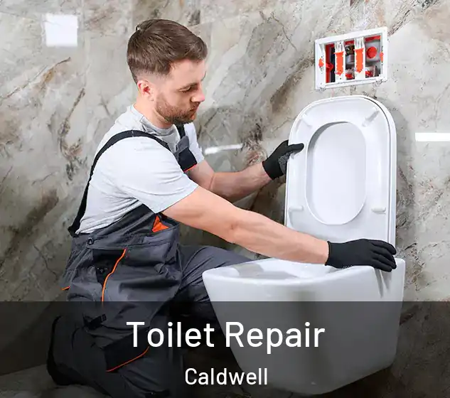  Toilet Repair Caldwell