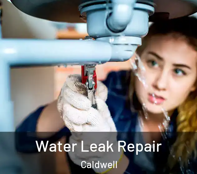  Water Leak Repair Caldwell